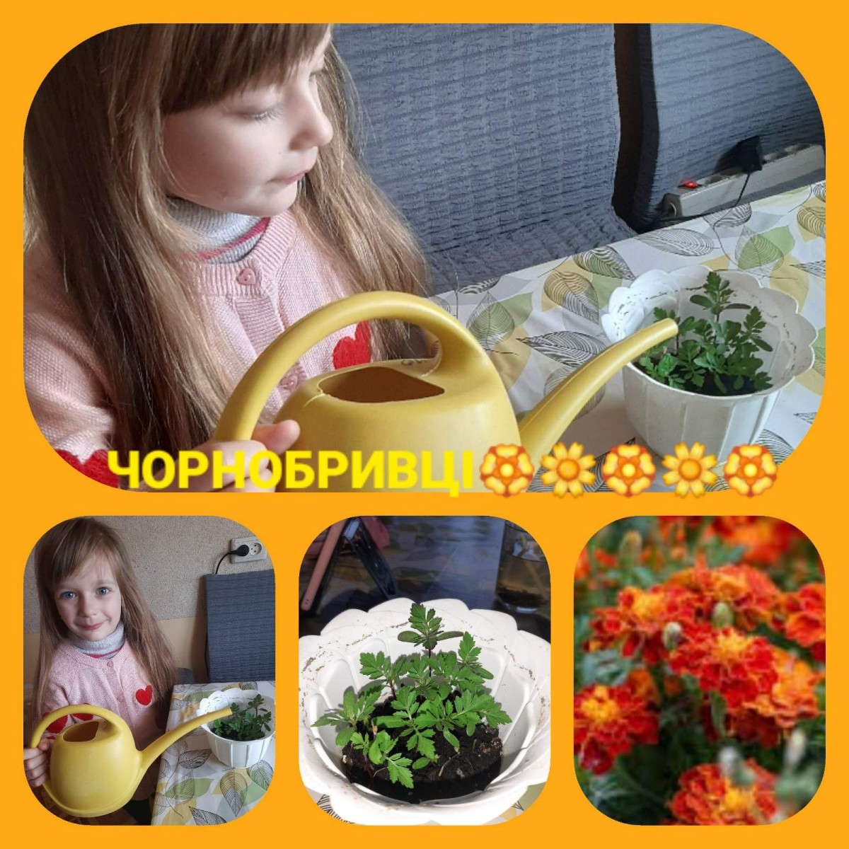 Екологічний 6