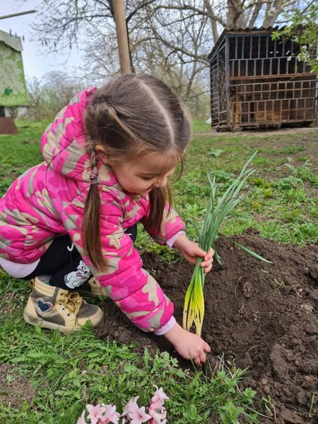 Екологічний 1